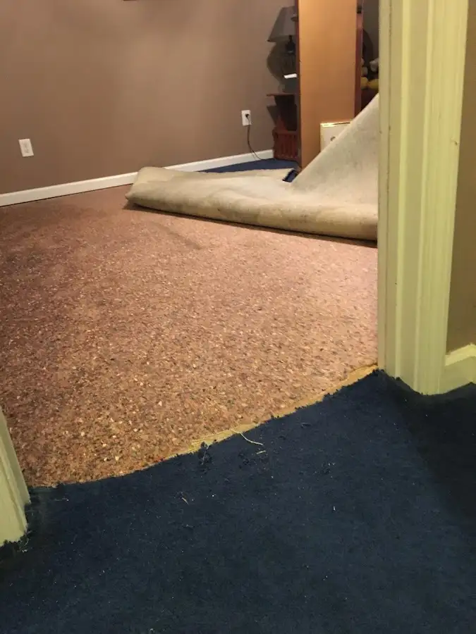 Carpet pad removal revealing water damage during Drying & Dehumidification in Moorpark