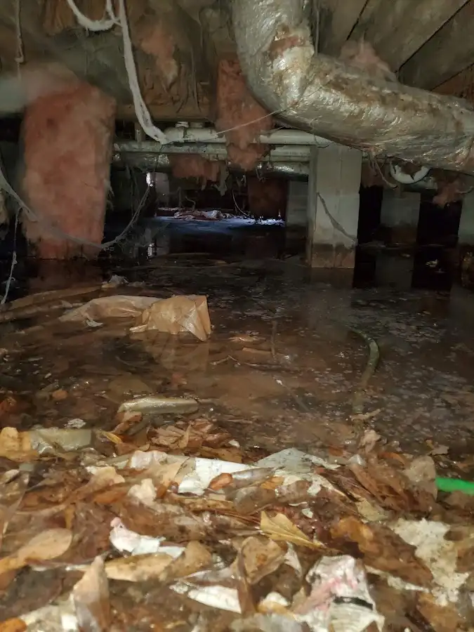 Crawl space flood assessment for Leak Detection & Repair in Moorpark